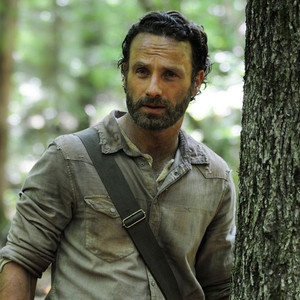 The Walking Dead, Season 4 The Walking Dead, Season 4
